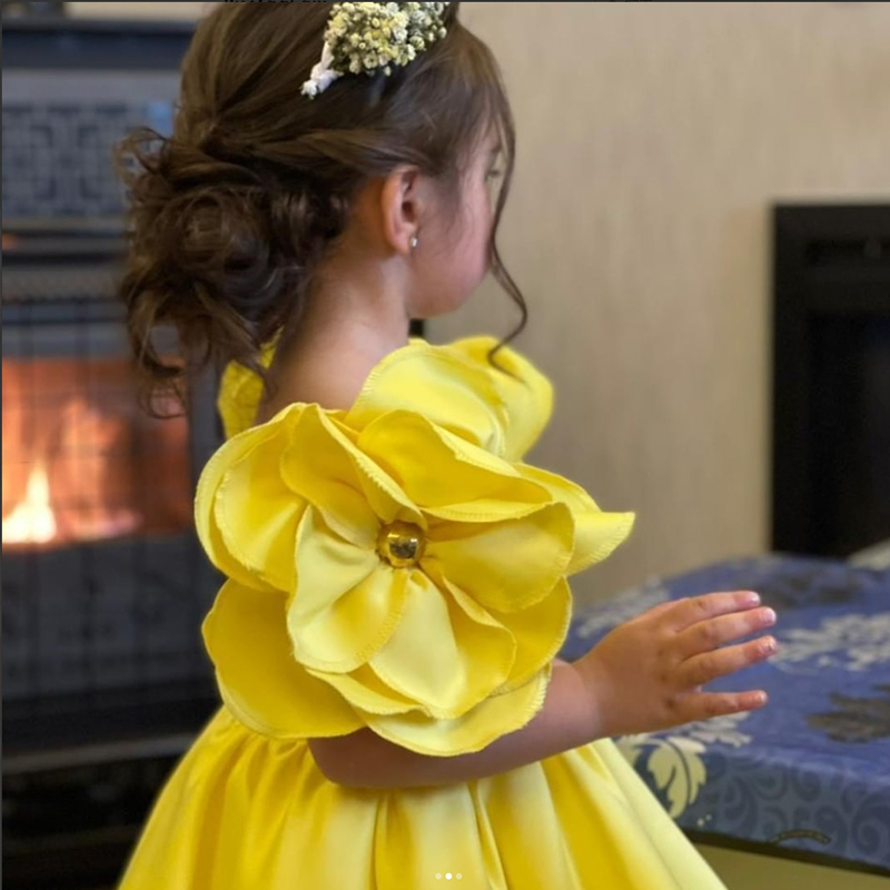 New Fashion Flowers Girls Dres - Baby Xmas Clothing のレビューと価格