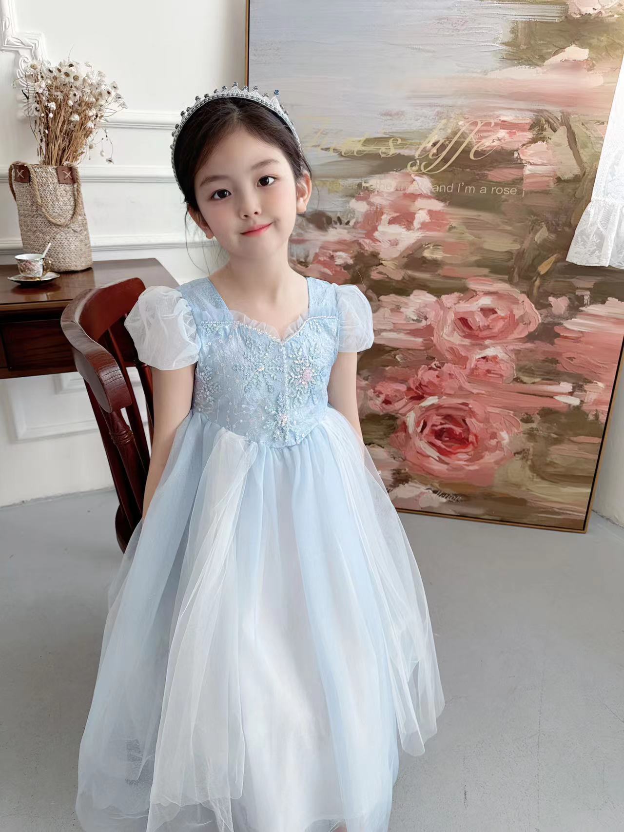 Embroidered Elsa Girls Dress f - Baby Xmas Clothing のレビューと価格